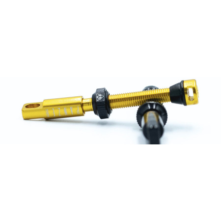 Válvulas Tubeless Panzer