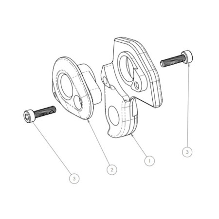 Enve Service Frame Road Rear Derailleur Hanger Kit