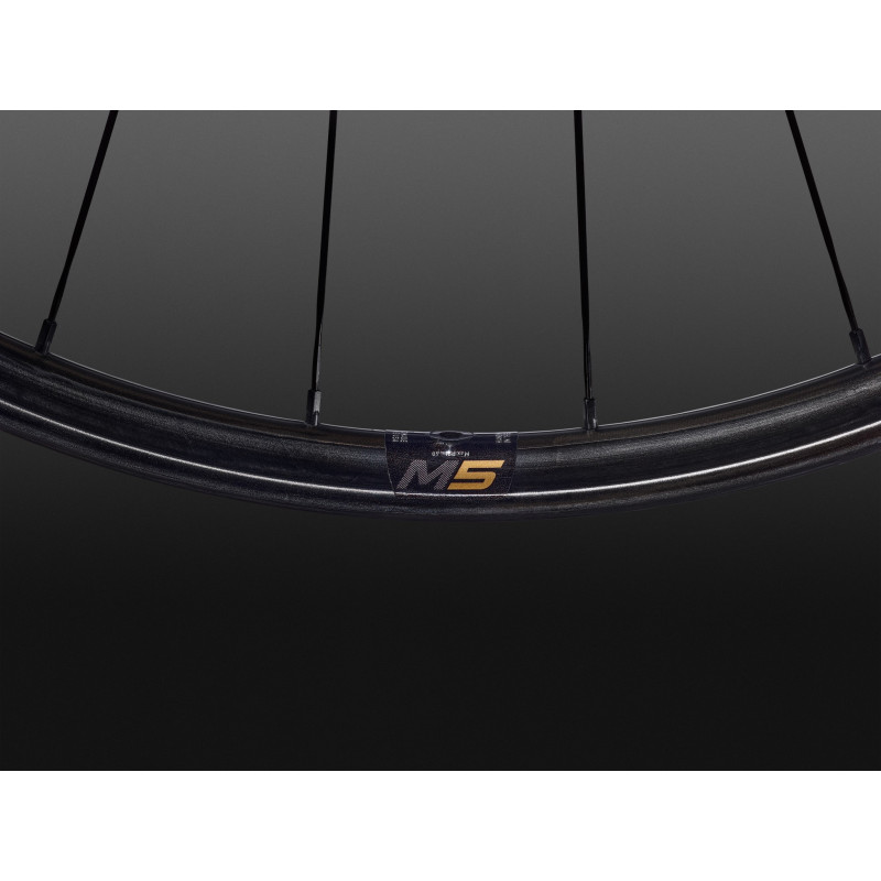 Enve Paire de roues M5 Pro