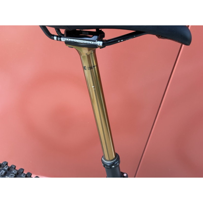 Pivot Firebird V3 White L Mullet