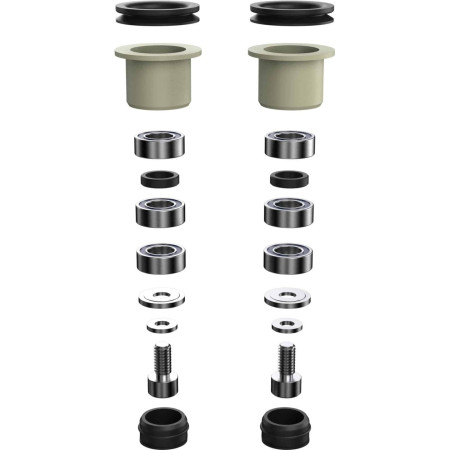 Praxis Brodium Bearing/Bushing Kit