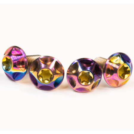Wolf Tooth Ti Rainbow Water Bottle Cage bolts 4 Pack CN