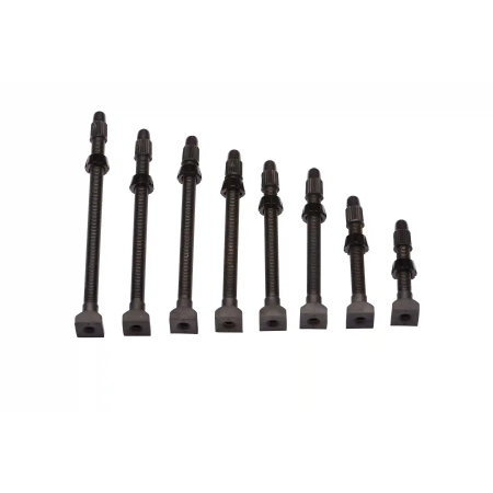 Enve Valves Tubeless Individual