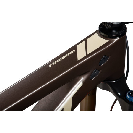 Pivot Firebird 2024 - Team XX AXS - Cosmic Brown